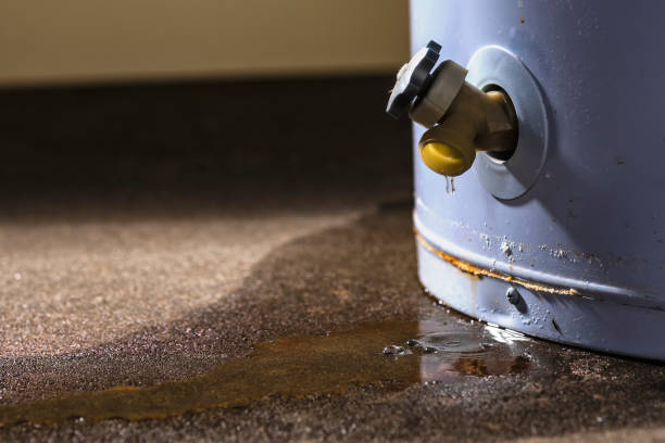 Best 24-hour water damage restoration  in Archbold, OH