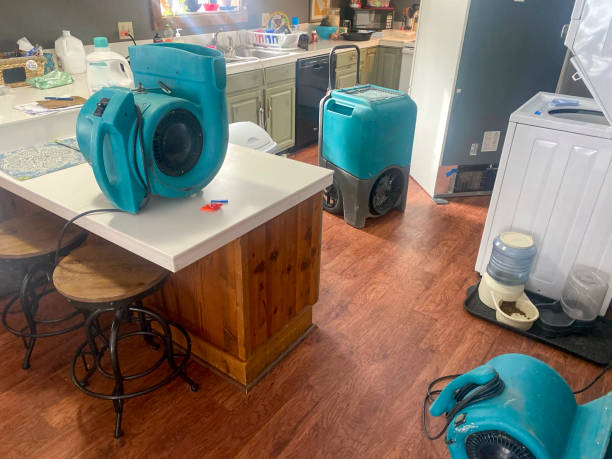 Best Carpet water damage restoration  in Archbold, OH