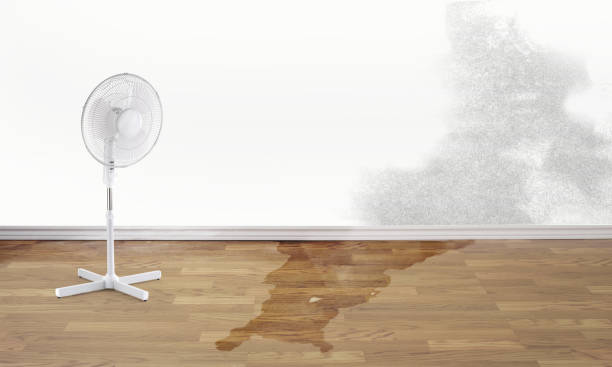  Archbold, OH Water damage restoration Pros