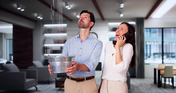 Best Local water damage restoration  in Archbold, OH
